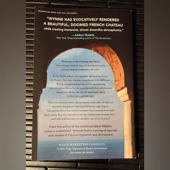 The Ruins - by Phoebe Wynne - Picture 2 of 2